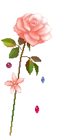 Decorative GIF